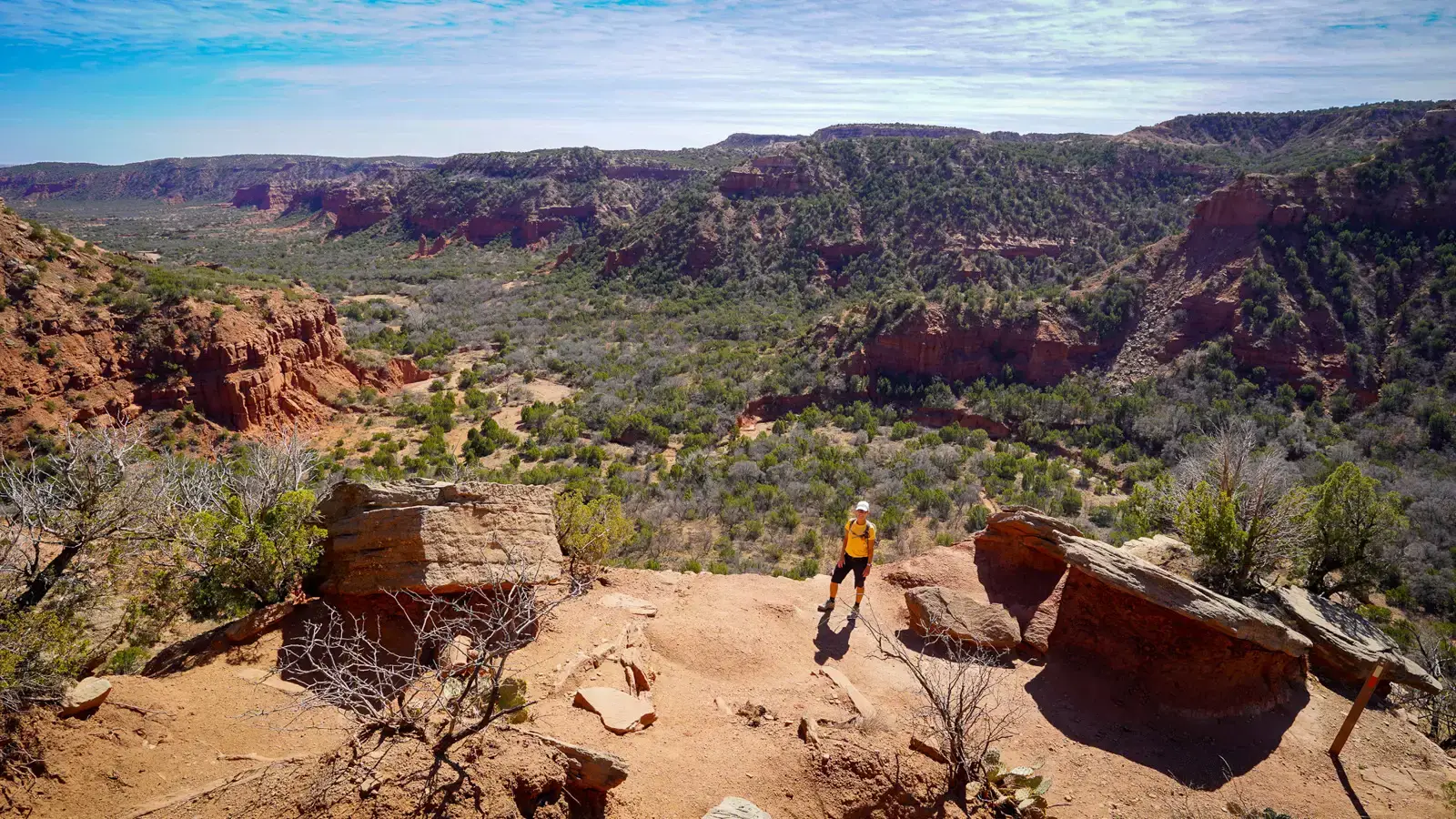 Caprock Canyon State Park: Trails, Bison, and Camping